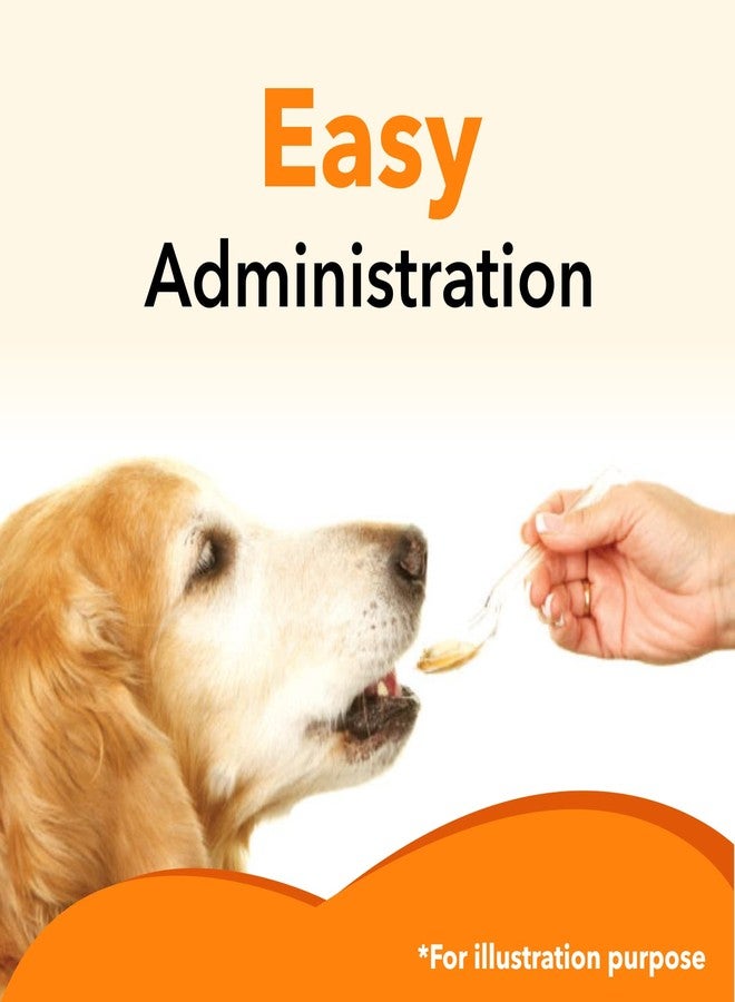 Drools Absolute Salmon Oil Syrup- Dog Supplement, 300ml - Image 4